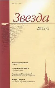 Александр Кушнер Сборник стихов обложка книги