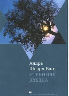 Андре Шварц-Барт Утренняя звезда обложка книги