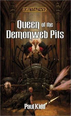 Paul Kidd Queen of the Demonweb Pits обложка книги