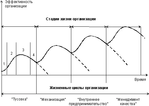 Рис 24 Жизненные циклы организации 1 формирование организации 2 - фото 2