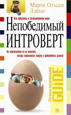 Мартин Лэйни Непобедимый интроверт обложка книги