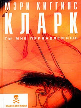 Мэри Кларк Ты мне принадлежишь обложка книги