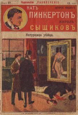 Издательство «Развлечение» Натурщица-убийца обложка книги