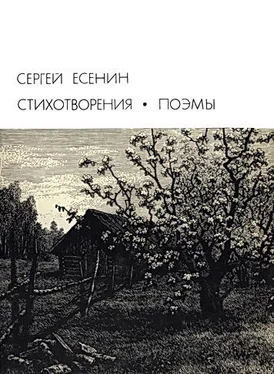 Сергей Есенин Стихотворения. Поэмы обложка книги