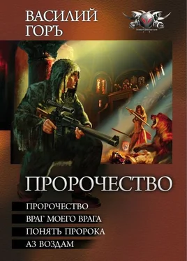 Василий Горъ Пророчество: Пророчество. Враг моего врага. Понять пророка. Аз воздам. обложка книги