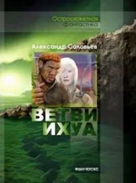 Александр Соловьёв Ветви Ихуа