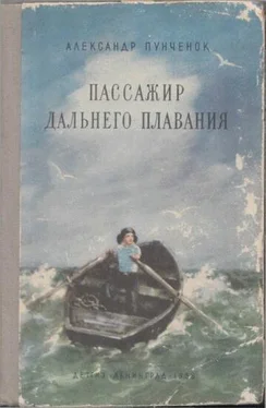 Александр Пунченок Пассажир дальнего плавания обложка книги