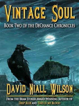 David Wilson Vintage soul обложка книги