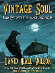David Wilson - Vintage soul