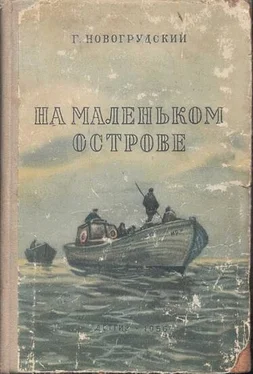 Герцель Новогрудский На маленьком острове обложка книги