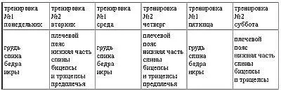 Ежедневная тренировка мышц брюшного пресса ТРЕНИРОВКА 1 Понедельник - фото 34