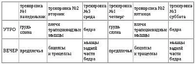 Ежедневная тренировка мышц голени и брюшного пресса ПРОГРАММА ТРЕНИРОВКИ ДЛЯ - фото 45