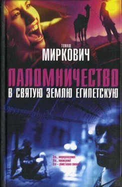 Томаш Миркович Паломничество в Святую Землю Египетскую обложка книги
