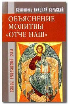 Святитель Николай Сербский (Велимирович) Отче наш. Толкование молитвы Господней обложка книги