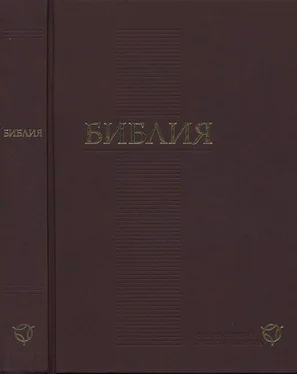 Неизвестный Автор Новый Завет (перевод «Радостная Весть») обложка книги