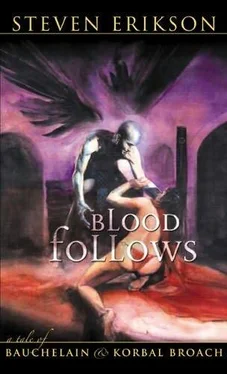 Steven Erikson Blood follows обложка книги