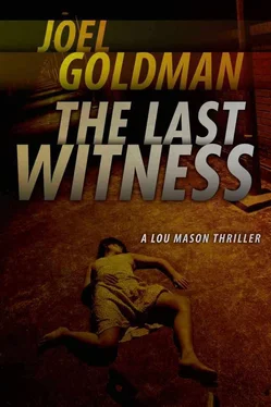 Joel Goldman The last witness обложка книги