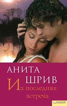 Анита Шрив Их последняя встреча обложка книги