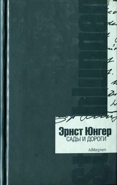 Эрнст Юнгер Сады и дороги. Дневник обложка книги