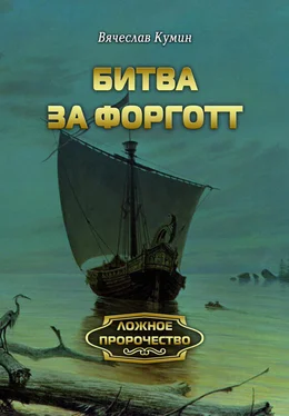 Вячеслав Кумин Битва за Форготт обложка книги