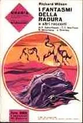 Robert Silverberg - Il vicino