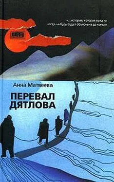 Анна Матвеева Перевал Дятлова обложка книги