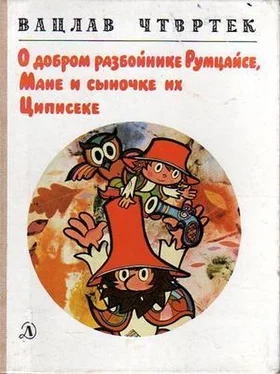 Вацлав Чтвртек О добром разбойнике Румцайсе, Мане и сыночке их Циписеке обложка книги