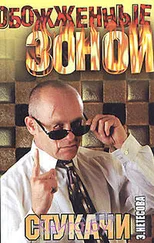 Эльмира Нетесова - Стукачи