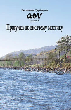 Екатерина Трубицина Прогулка по висячему мостику обложка книги