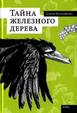 Софья Прокофьева Тайна железного дерева обложка книги