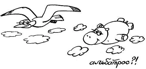 Альбатрос не трудится не машет крыльями он ловит поток Он спокойно скользит - фото 114