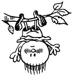 Быть в таком подвешенном состоянии самое дурацкое состояние Итак шаг - фото 115