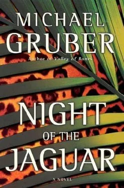 Michael Gruber Night of the Jaguar обложка книги