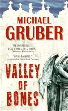 Michael Gruber Valley of Bones обложка книги