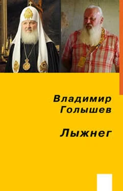 Владимир Голышев Лыжнег обложка книги
