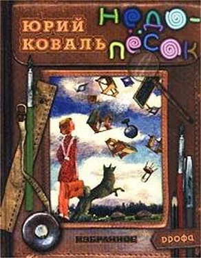 Юрий Коваль Недопесок обложка книги
