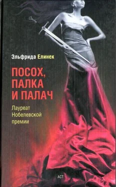 Эльфрида Елинек Посох, палка и палач обложка книги