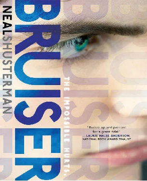 Neal Shusterman Bruiser обложка книги