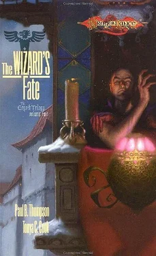 Paul Thompson The Wizard_s Fate обложка книги