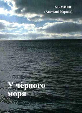 АБ МИШЕ У чёрного моря обложка книги