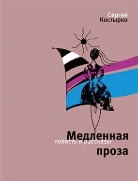 Сергей Костырко Медленная проза (сборник) обложка книги