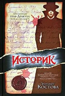 Элизабет Костова Историк обложка книги