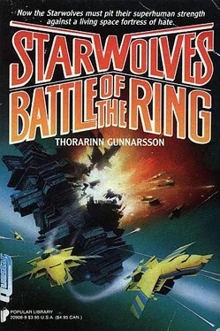 Thorarinn Gunnarsson Battle of the Ring обложка книги