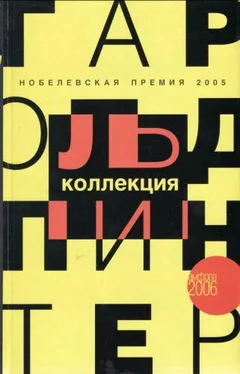 Гарольд Пинтер Кухонный лифт обложка книги