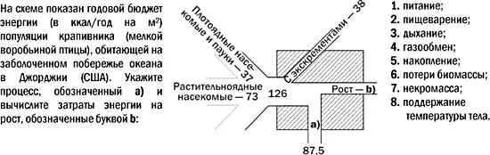 Одно из тестовых заданий которые я использую при преподавании экологии Схема - фото 17