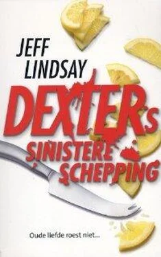 Jeff Lindsay Dexters sinistere schepping обложка книги