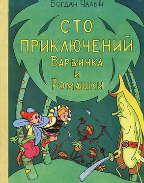 Богдан Чалый Сто приключений Барвинка и Ромашки обложка книги