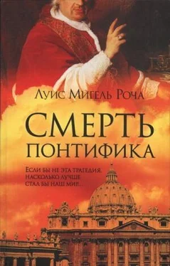 Луис Роча Смерть понтифика обложка книги