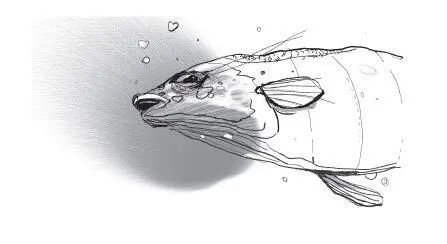 И вот я вижу человека который хорош всем но стар как два принца То есть - фото 69