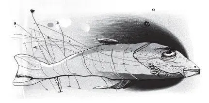 Мне правда никто давно не нравился до такой степени Он похож на мою главную - фото 70